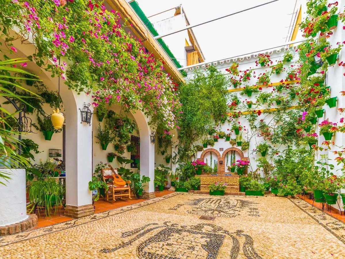 Wifi Moderno Coqueto Junto Mezquita Apartment Cordoba Spain